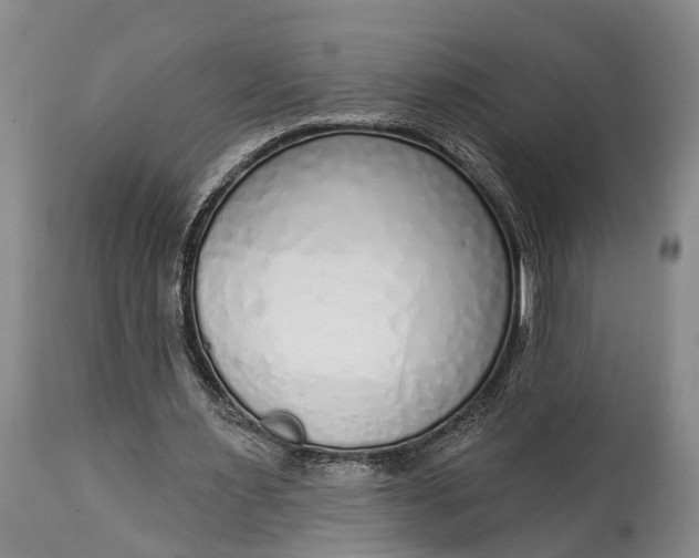 X0000114990483200911091339