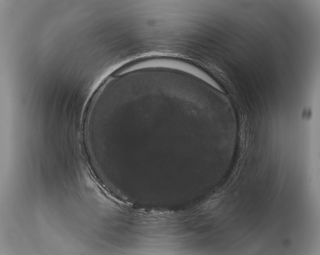 X0000114990484200911091339