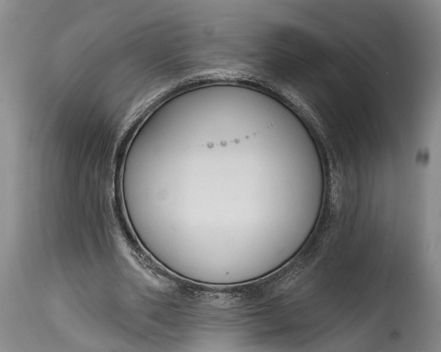 X0000114990486200911091339