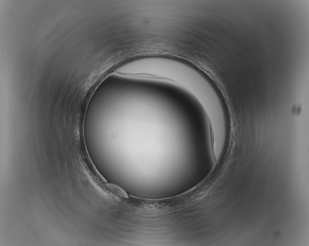 X0000114990489200911091338