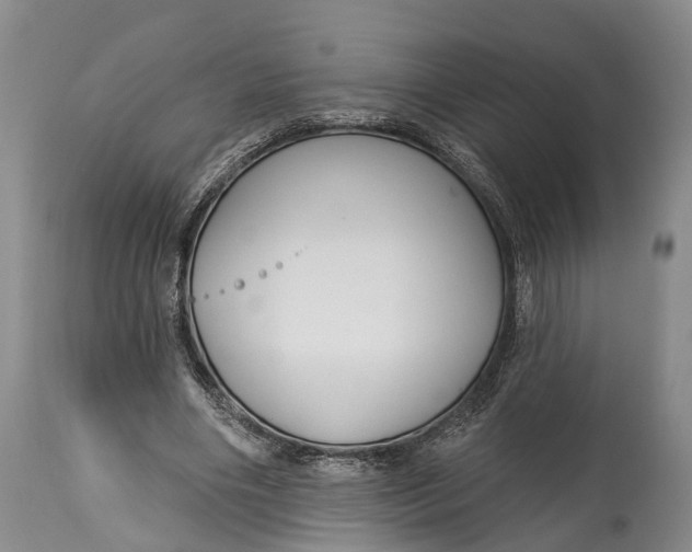 X0000114990490200911091338