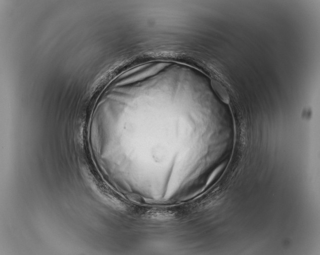 X0000114990491200911091338