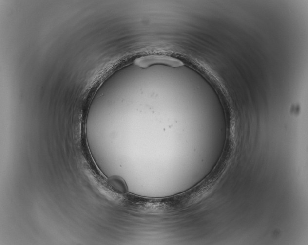 X0000114990493200911091338