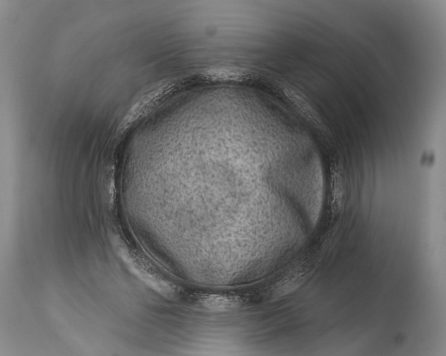 X0000114990494200911091338