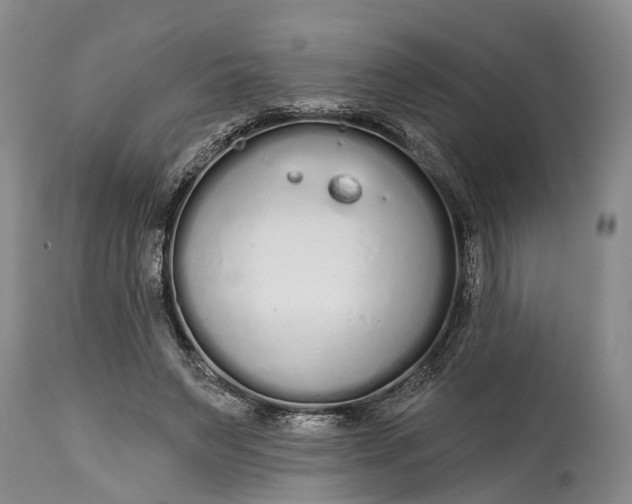 X0000114990495200911091338