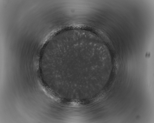 X0000114990496200911091338