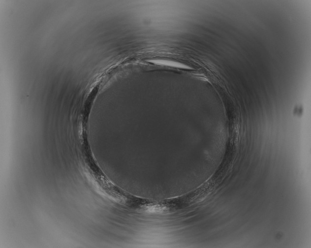 X0000114990500200911091338