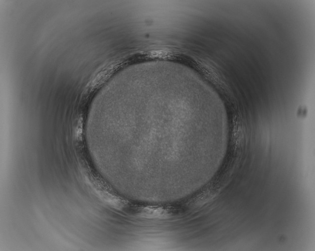 X0000114990502200911091338