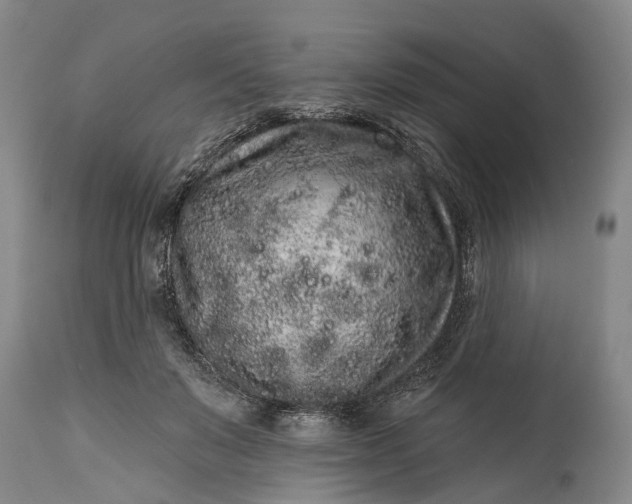X0000114990503200911091338