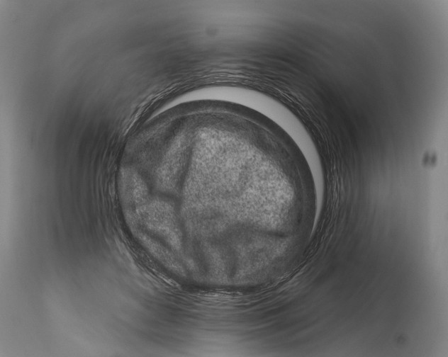 X0000114990504200911091338