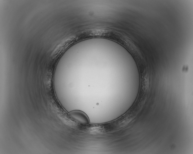 X0000114990505200911091338