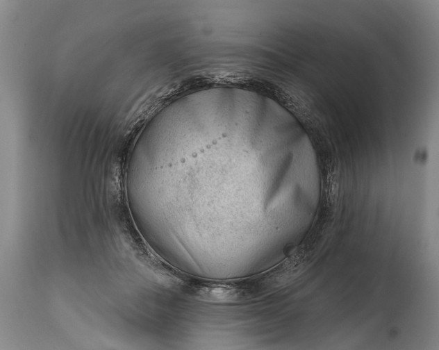 X0000114990506200911091338