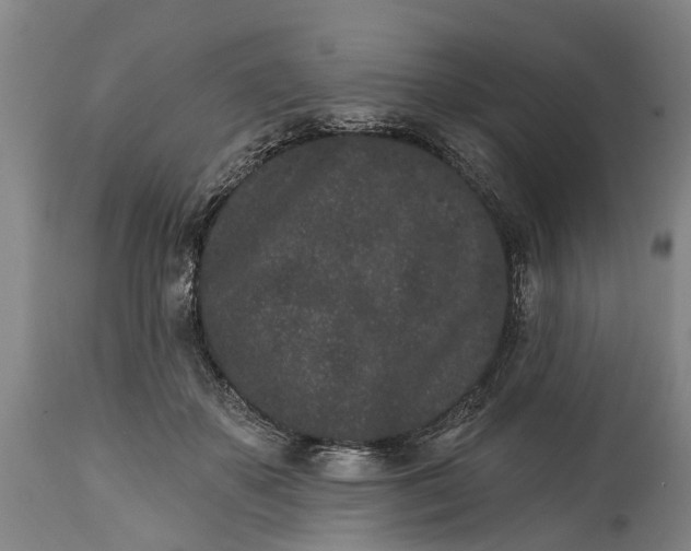 X0000114990507200911091338