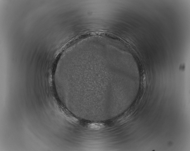 X0000114990508200911091338