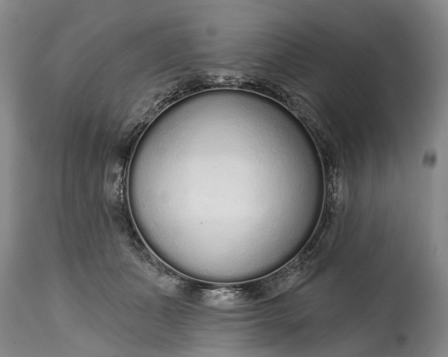 X0000114990511200911091338
