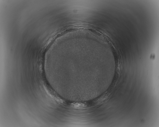 X0000114990512200911091338