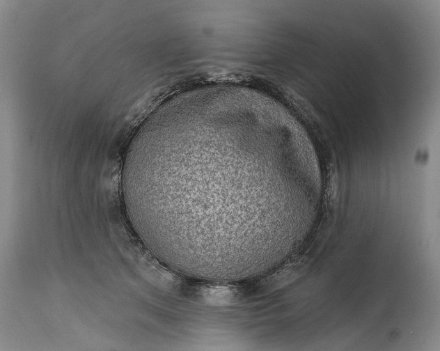 X0000114990513200911091338