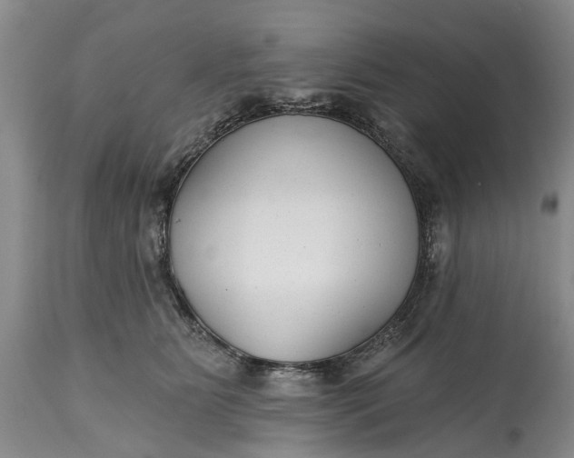 X0000114990515200911091338