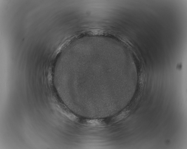 X0000114990516200911091338