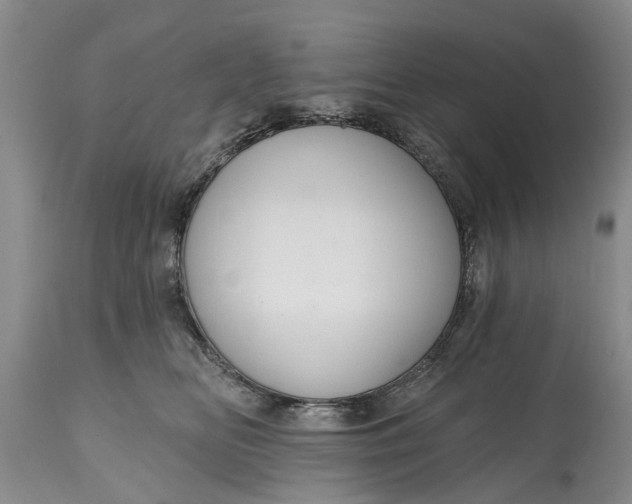 X0000114990518200911091338