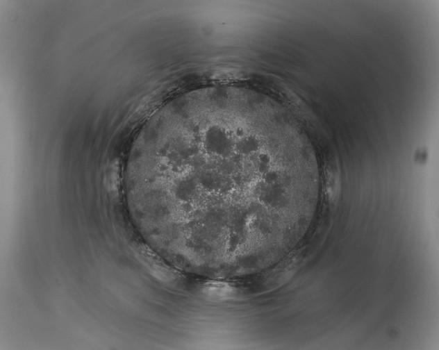 X0000114990519200911091338