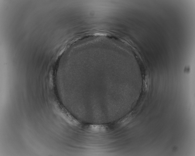 X0000114990520200911091338