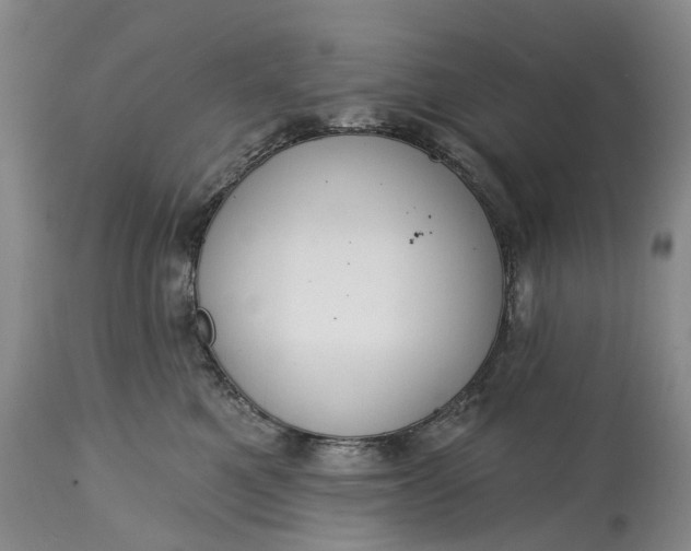 X0000114990521200911091338