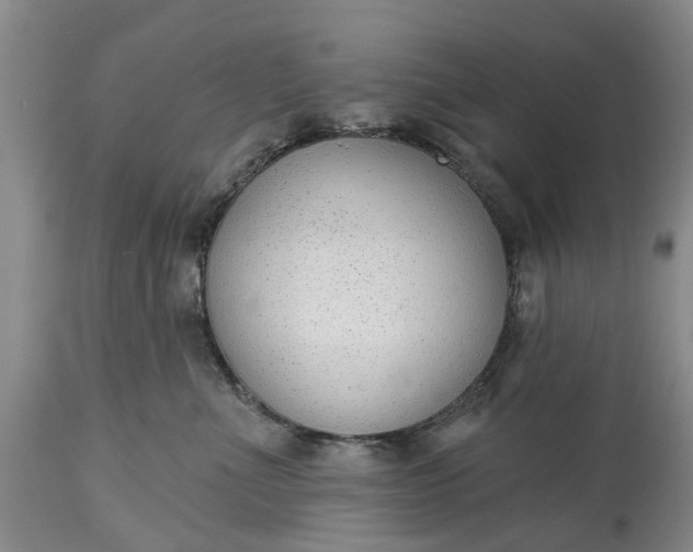 X0000114990523200911091338