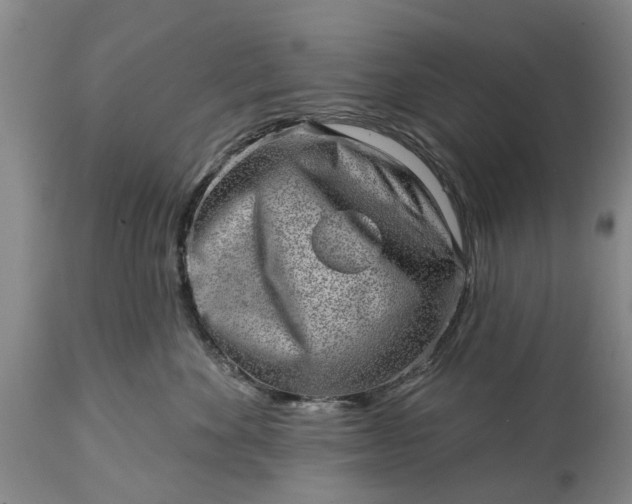 X0000114990524200911091338