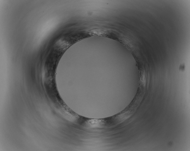 X0000114990526200911091338