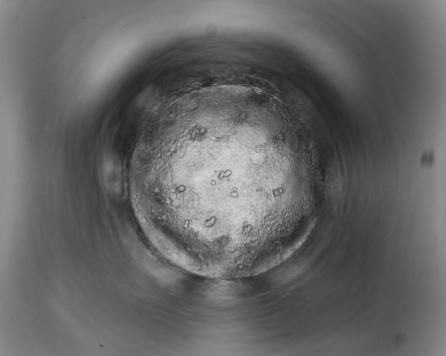 X0000114990527200911091338