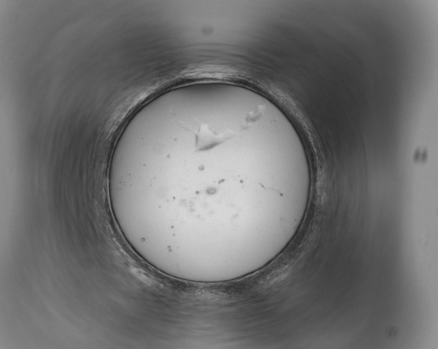 X0000114990529200911091337