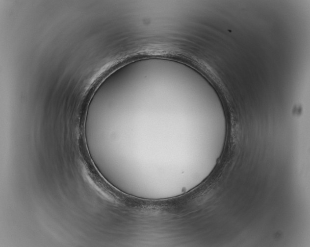 X0000114990530200911091337