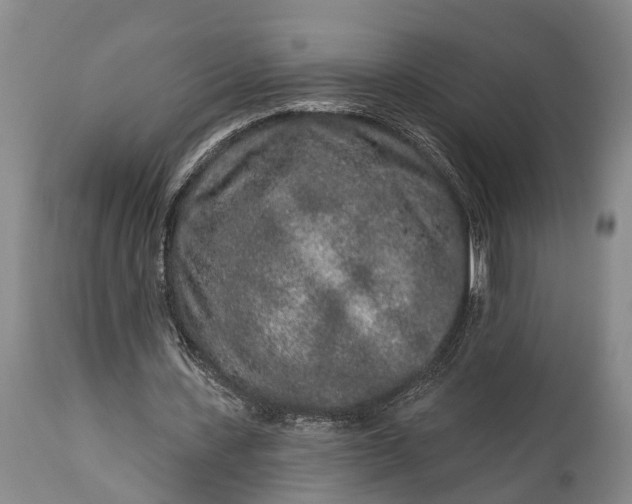 X0000114990531200911091337