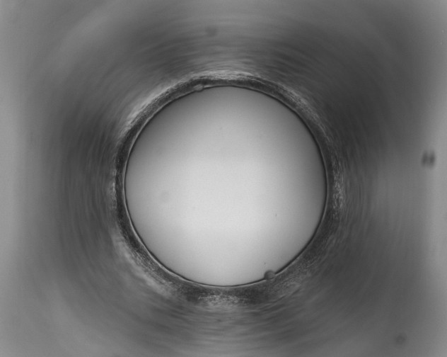 X0000114990535200911091337