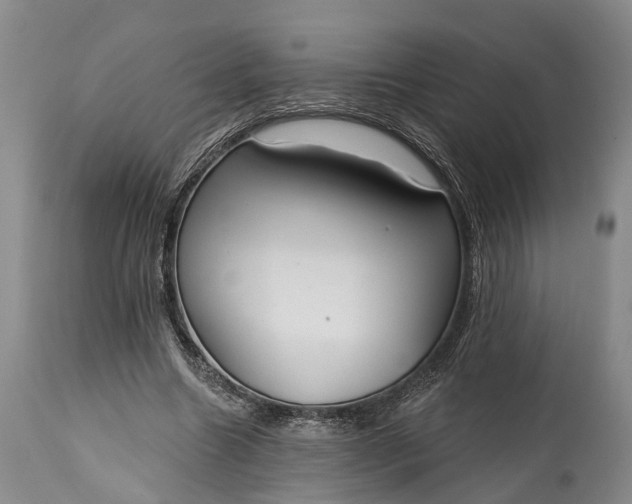 X0000114990538200911091337