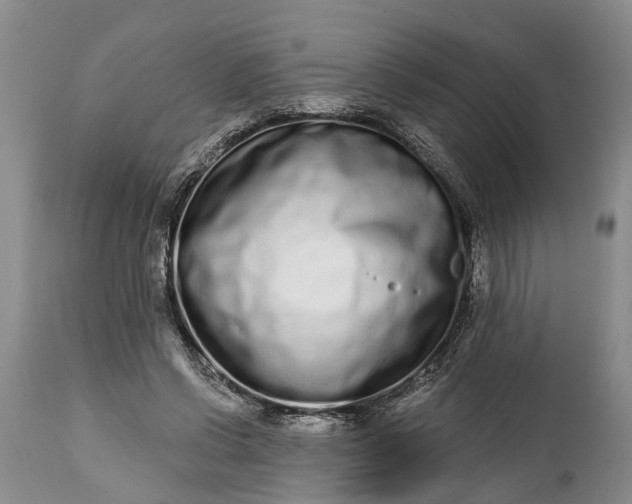 X0000114990542200911091337