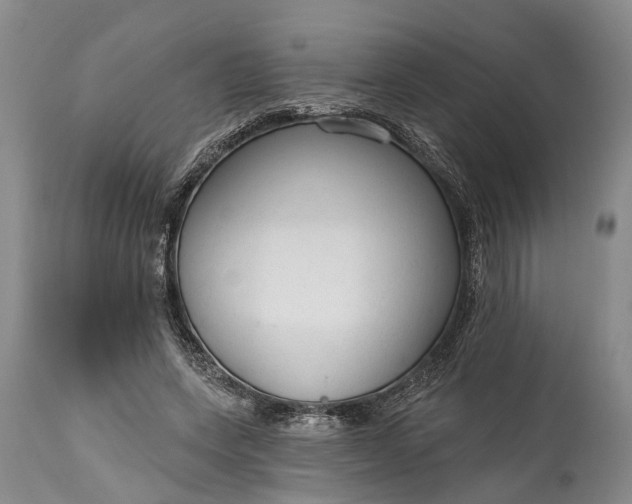 X0000114990543200911091337