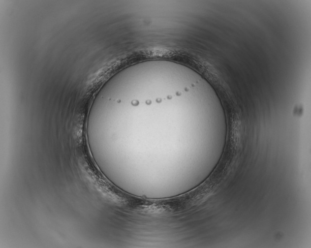 X0000114990545200911091337