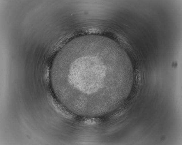 X0000114990550200911091337