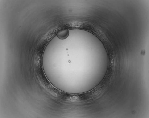 X0000114990551200911091337