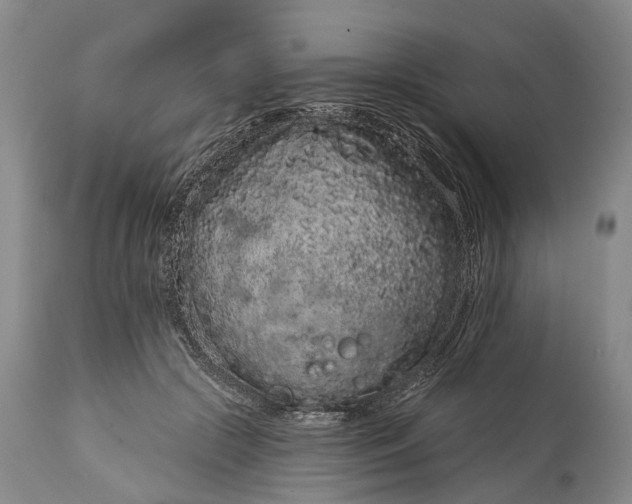 X0000114990553200911091337