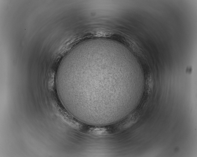 X0000114990554200911091337