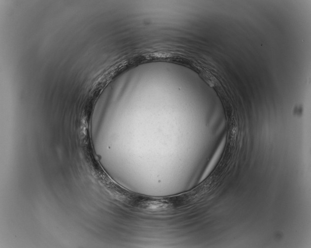 X0000114990555200911091337