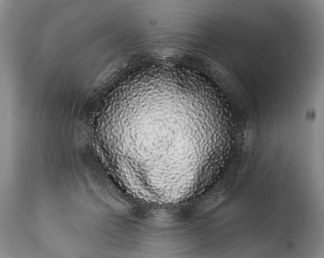 X0000114990558200911091338