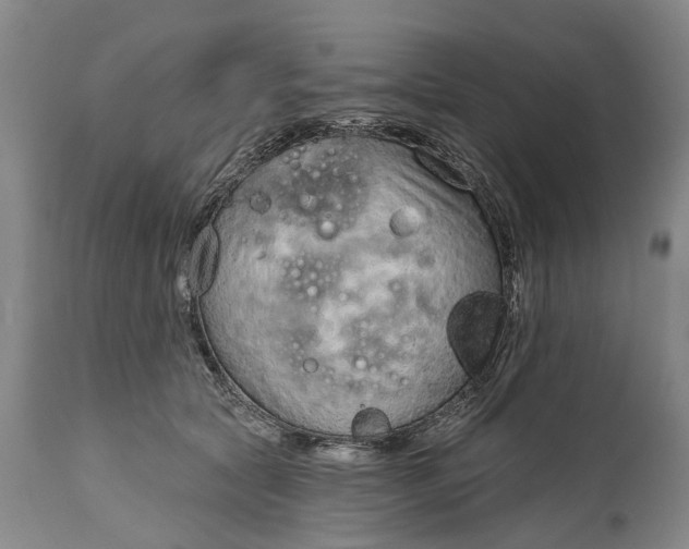 X0000114990561200911091338