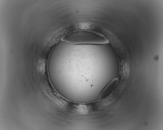 X0000114990562200911091338