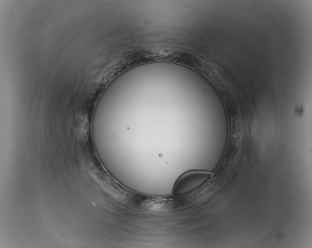 X0000114990563200911091338