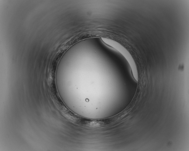X0000114990566200911091338