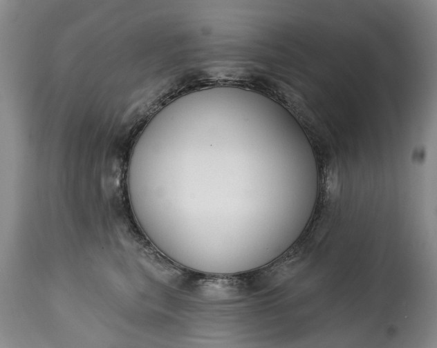 X0000114990567200911091338